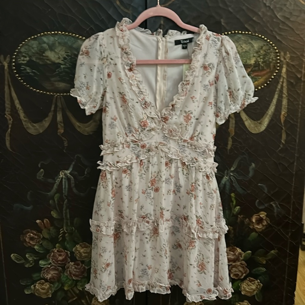 NWT Trixxi blush floral minidress. Size S. From Francesca’s.